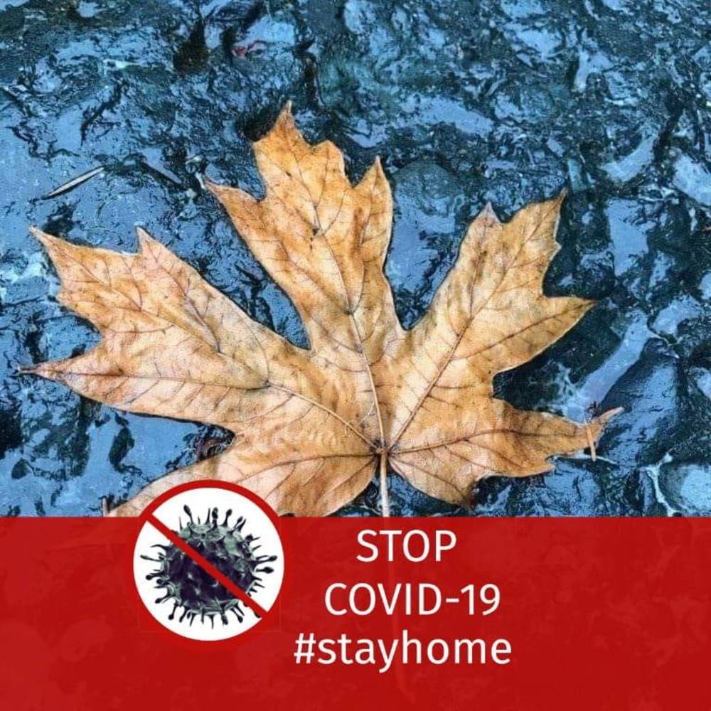 Meet your Posher, Andria